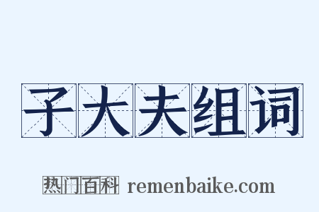子大夫组词是什么意思的图片